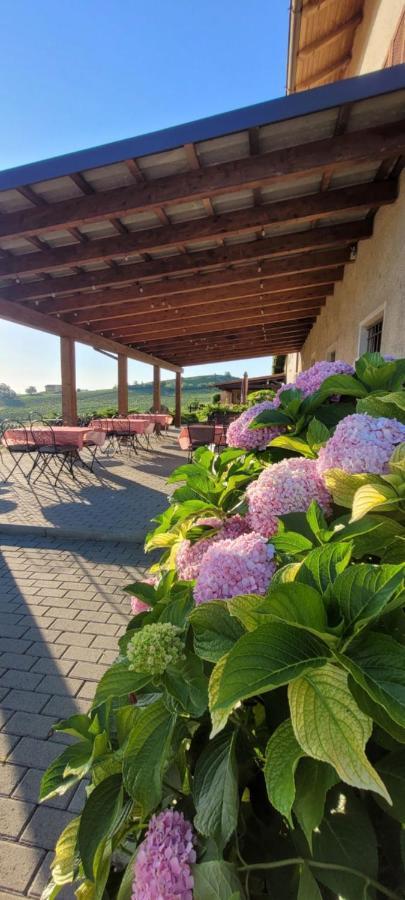 Villa Bella Piemonte Nizza Monferrato Exteriör bild