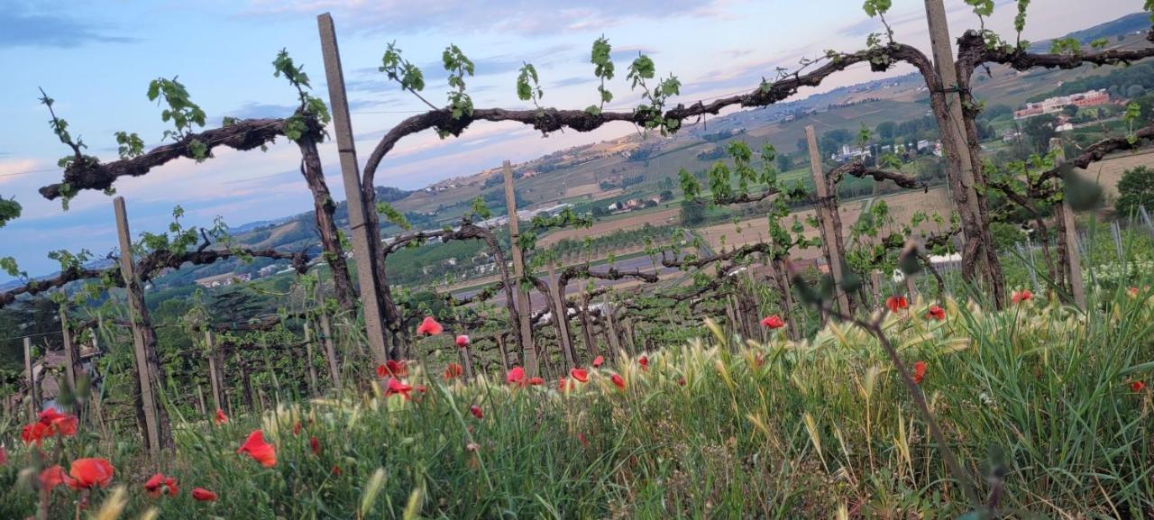 Villa Bella Piemonte Nizza Monferrato Exteriör bild